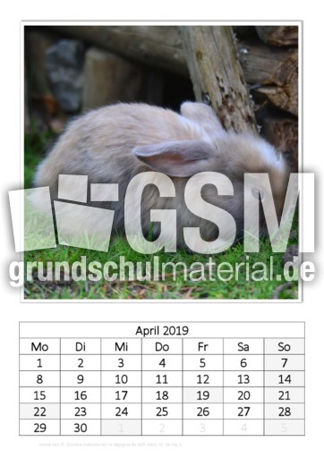 April_Kaninchen_2.pdf